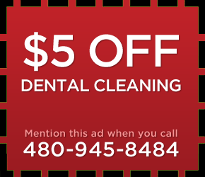 Paradise Valley Dog teeth cleaning Special